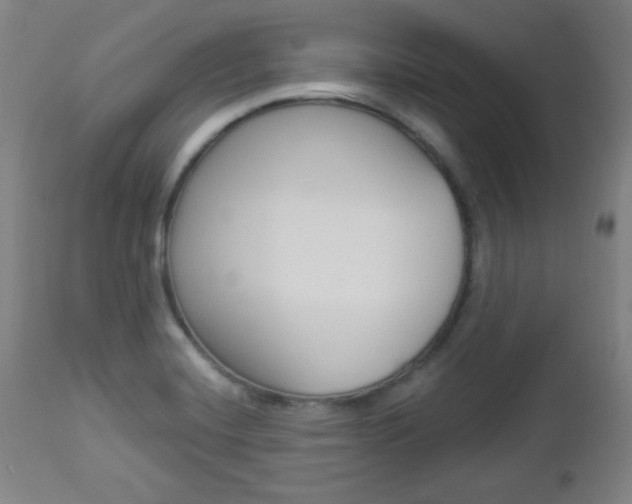 X0000112961420200908270908