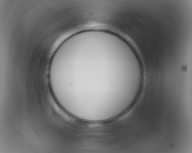X0000112961421200908270908