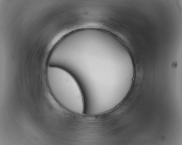 X0000112961422200908270908