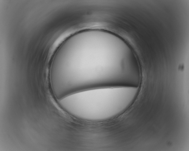 X0000112961424200908270908