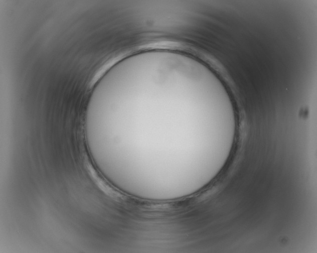 X0000112961425200908270908