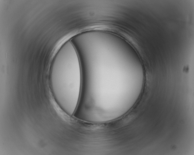 X0000112961426200908270908