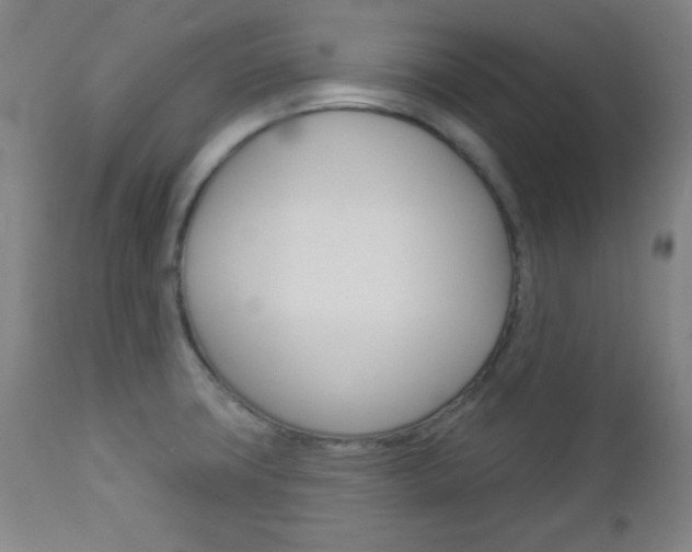 X0000112961427200908270908