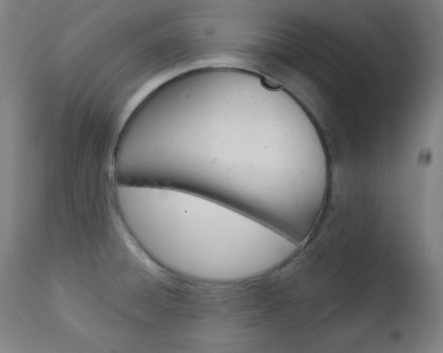 X0000112961428200908270908