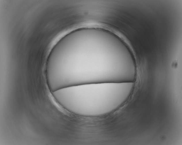 X0000112961429200908270908