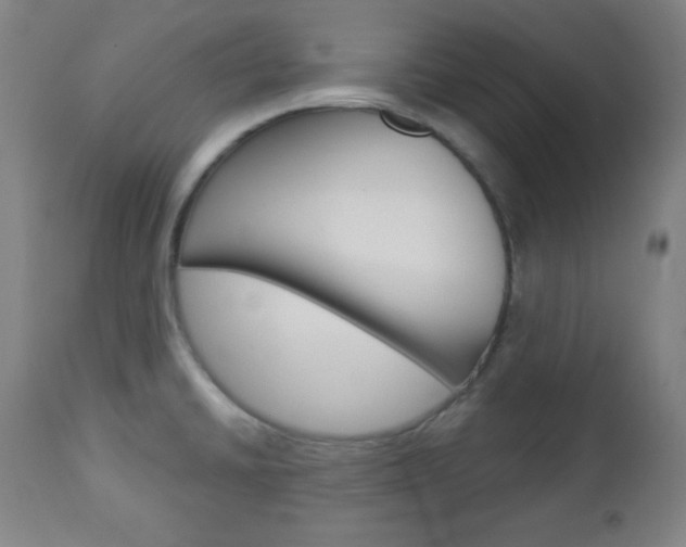 X0000112961430200908270908
