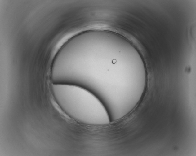 X0000112961432200908270908