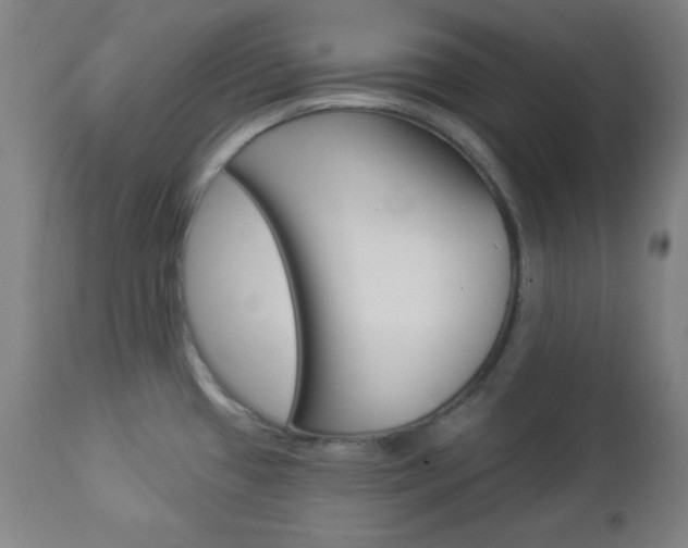 X0000112961433200908270908