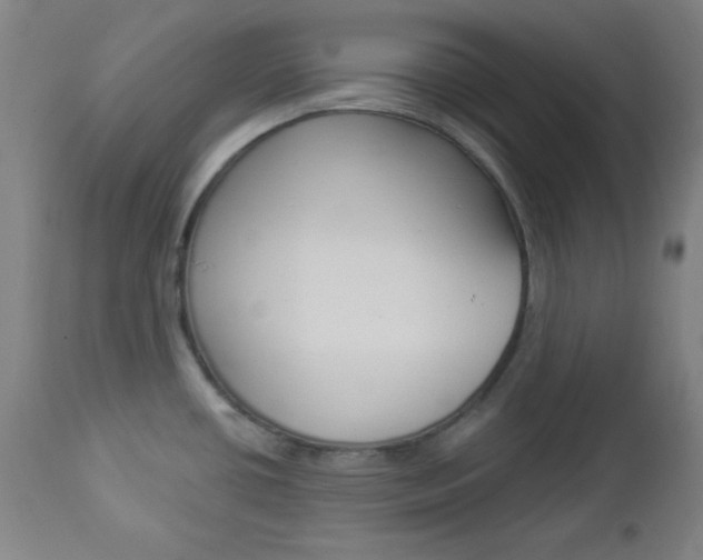 X0000112961434200908270908