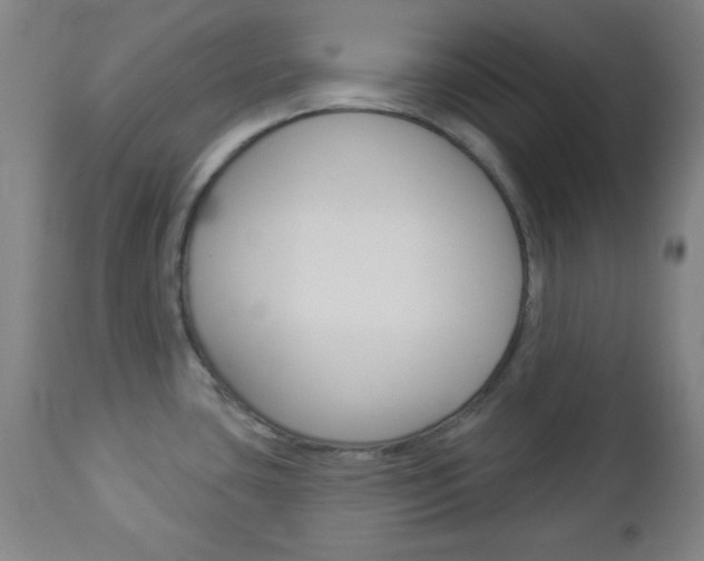 X0000112961435200908270908