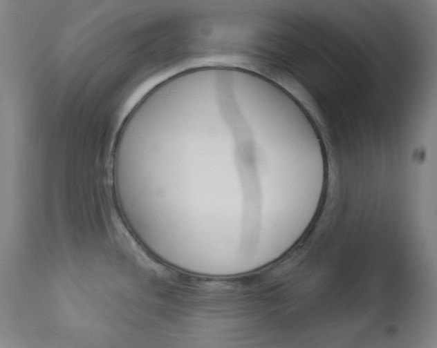 X0000112961436200908270908