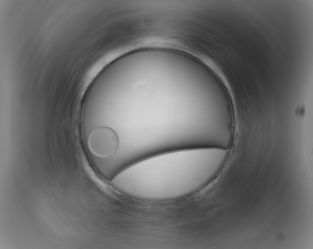 X0000112961437200908270908