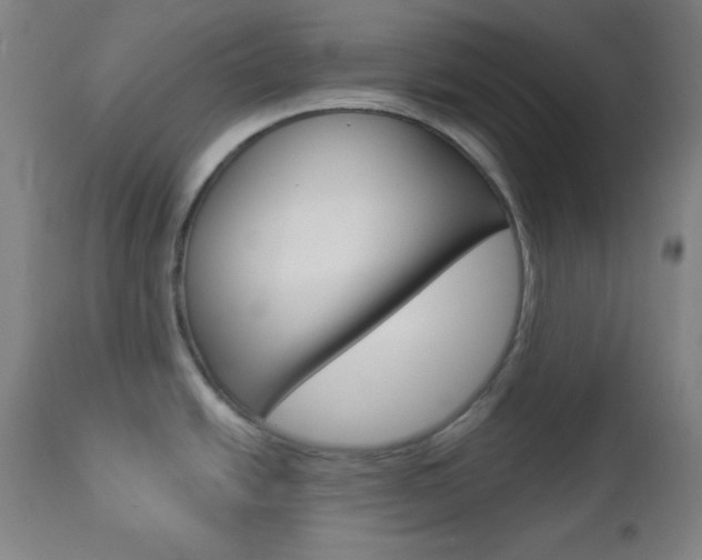 X0000112961438200908270908