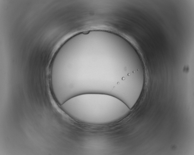 X0000112961439200908270908