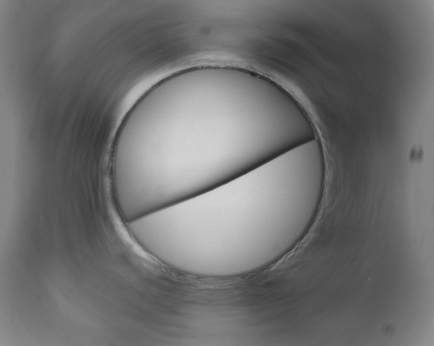 X0000112961440200908270908