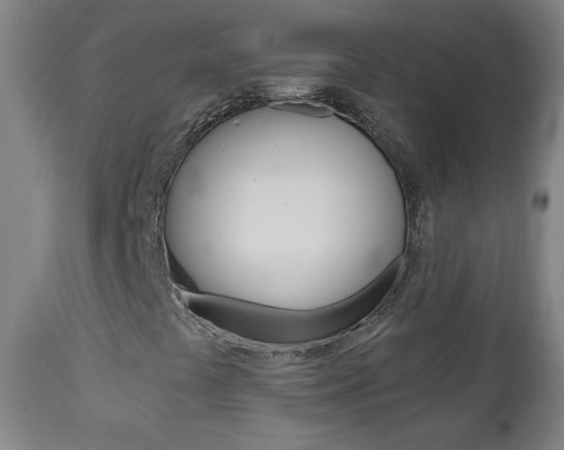 X0000112961441200908270908