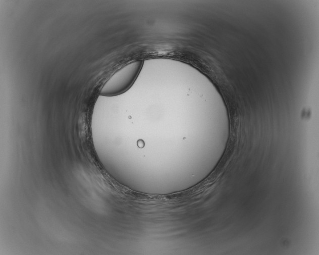 X0000112961442200908270908