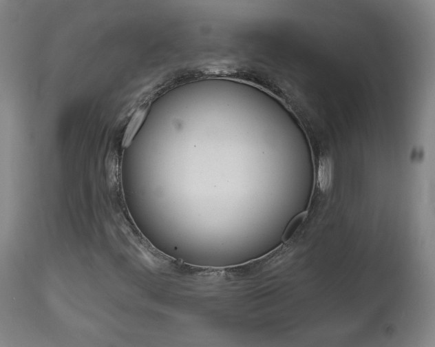 X0000112961444200908270908