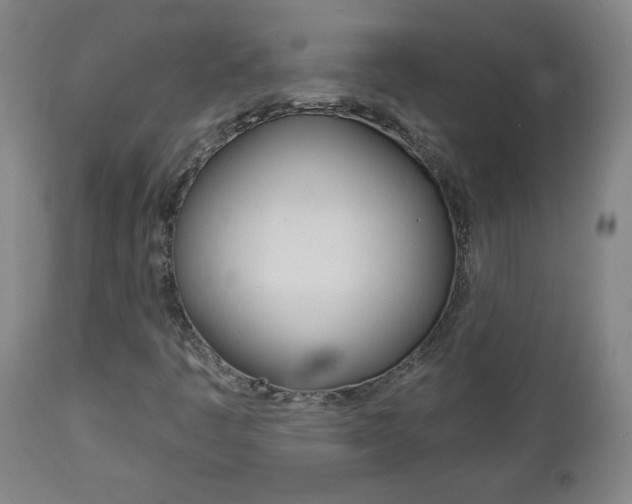 X0000112961445200908270908