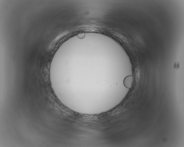 X0000112961446200908270908