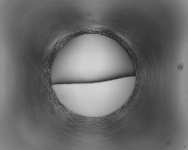 X0000112961447200908270908