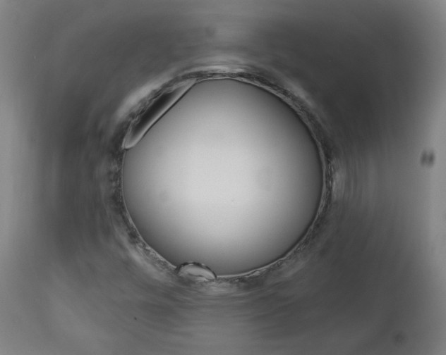 X0000112961448200908270907