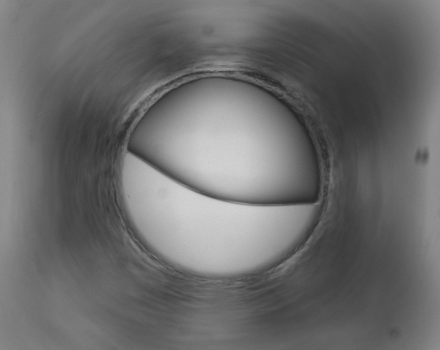 X0000112961449200908270907