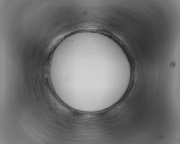 X0000112961451200908270907