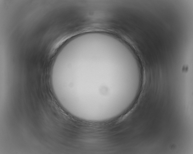 X0000112961453200908270907