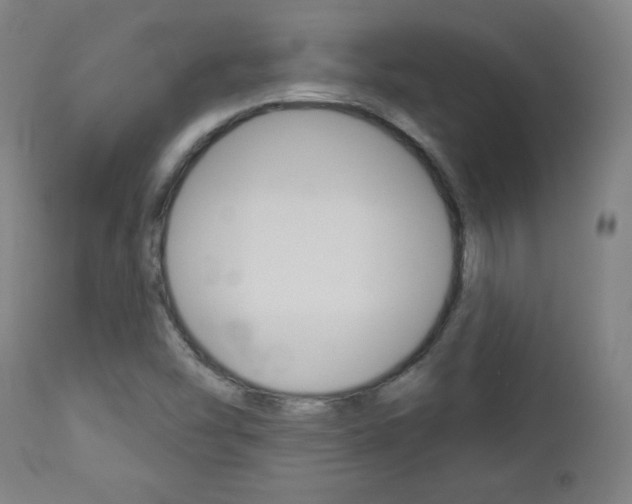 X0000112961454200908270907