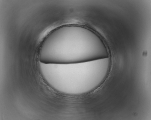 X0000112961455200908270907
