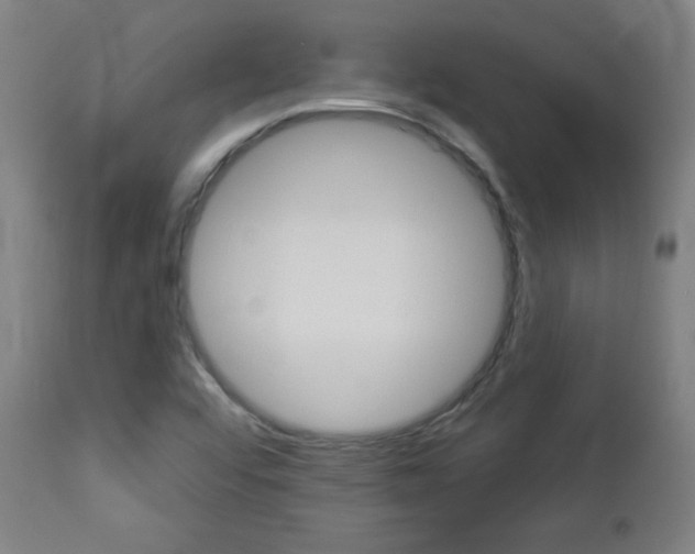 X0000112961456200908270907