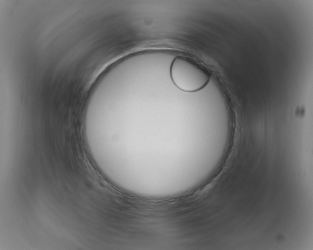X0000112961457200908270907