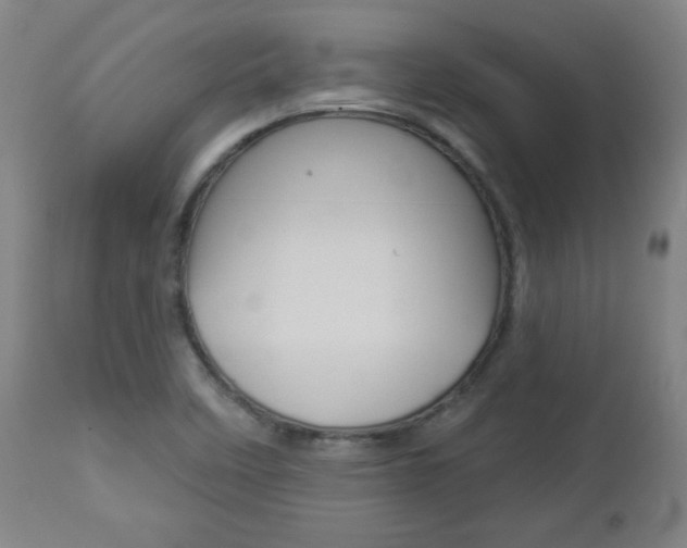 X0000112961458200908270907