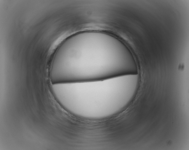 X0000112961459200908270907