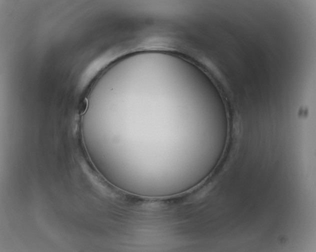 X0000112961461200908270907