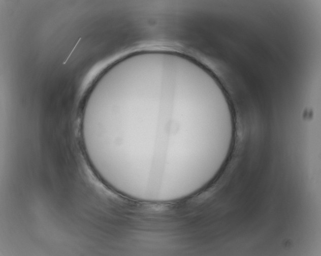 X0000112961462200908270907