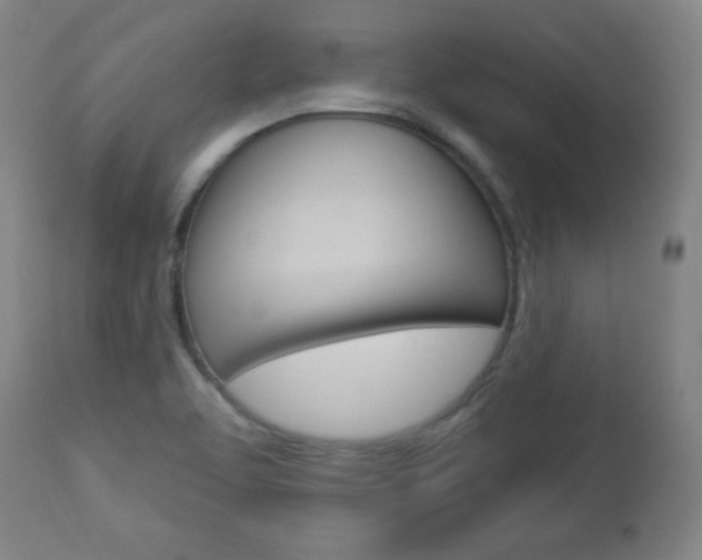 X0000112961463200908270907