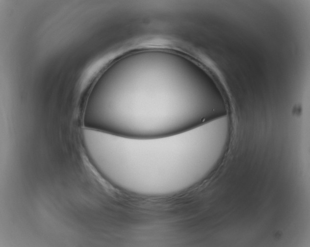 X0000112961464200908270907