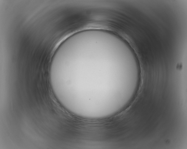 X0000112961465200908270907