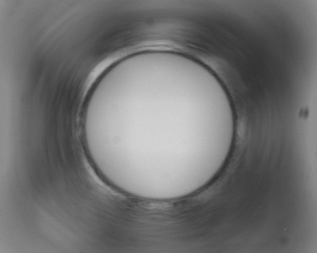 X0000112961466200908270907