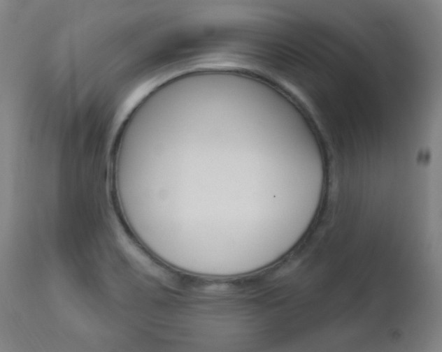 X0000112961467200908270907