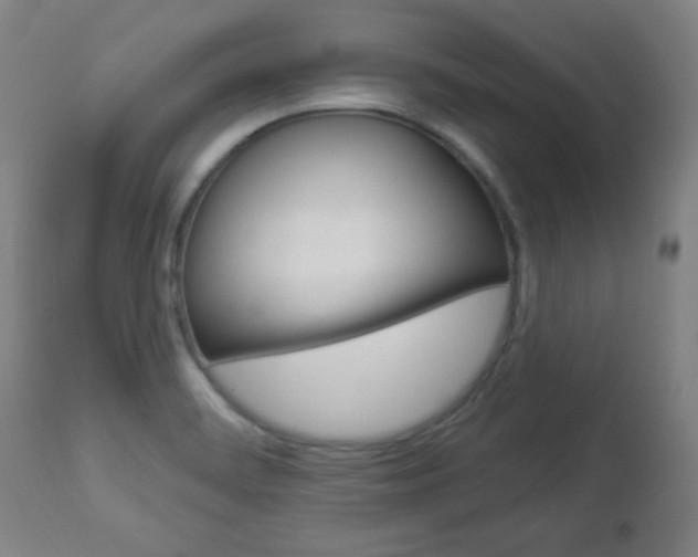 X0000112961468200908270907