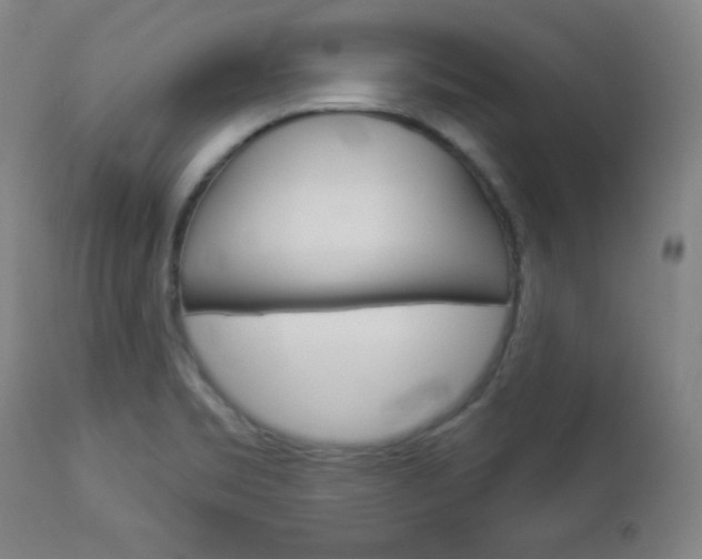 X0000112961469200908270907