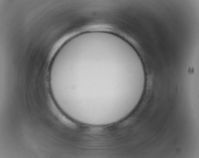 X0000112961470200908270907