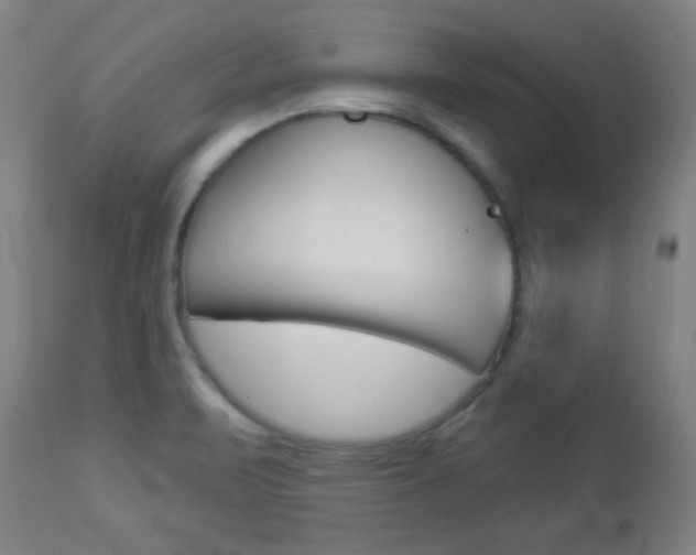 X0000112961471200908270907