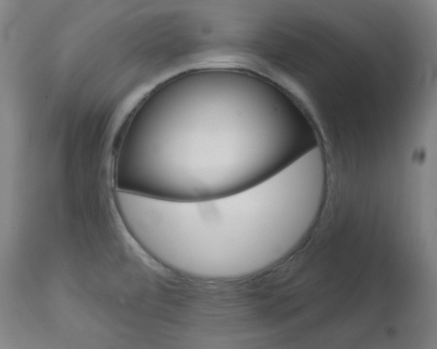X0000112961472200908270907