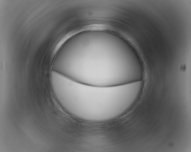 X0000112961473200908270907