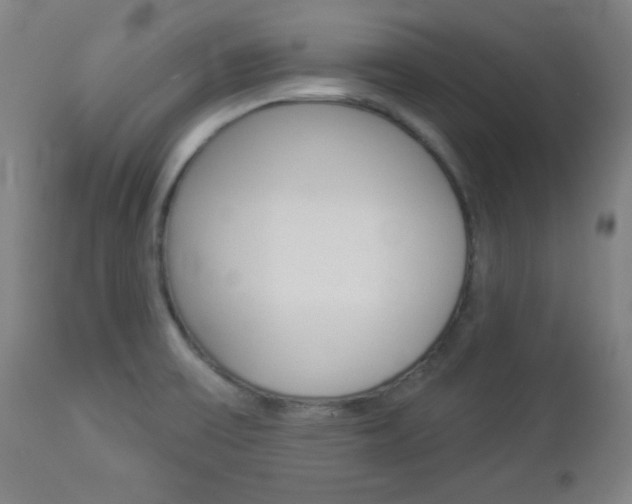 X0000112961475200908270907