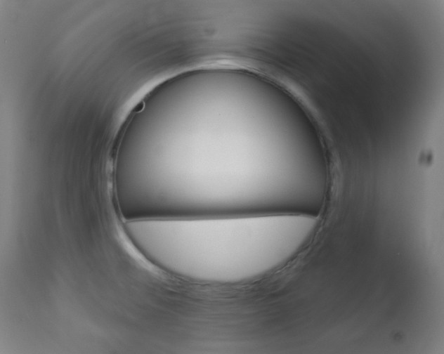 X0000112961476200908270907